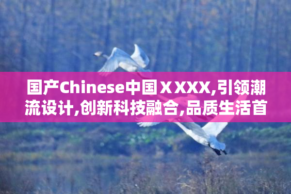 国产Chinese中国ⅩXXX,引领潮流设计,创新科技融合,品质生活首选