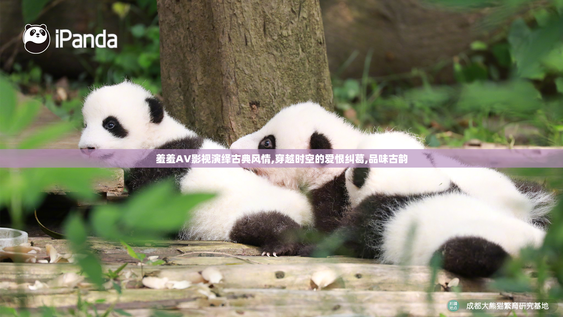 羞羞AV影视演绎古典风情,穿越时空的爱恨纠葛,品味古韵