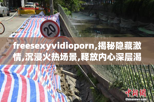 freesexyvidioporn,揭秘隐藏激情,沉浸火热场景,释放内心深层渴望