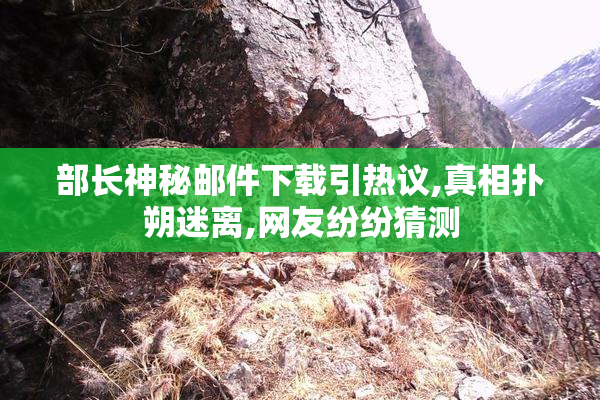 部长神秘邮件下载引热议,真相扑朔迷离,网友纷纷猜测