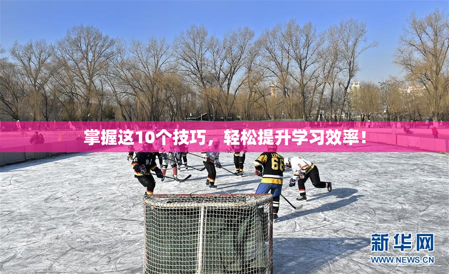 掌握这10个技巧，轻松提升学习效率！
