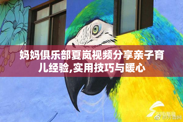 妈妈俱乐部夏岚视频分享亲子育儿经验,实用技巧与暖心