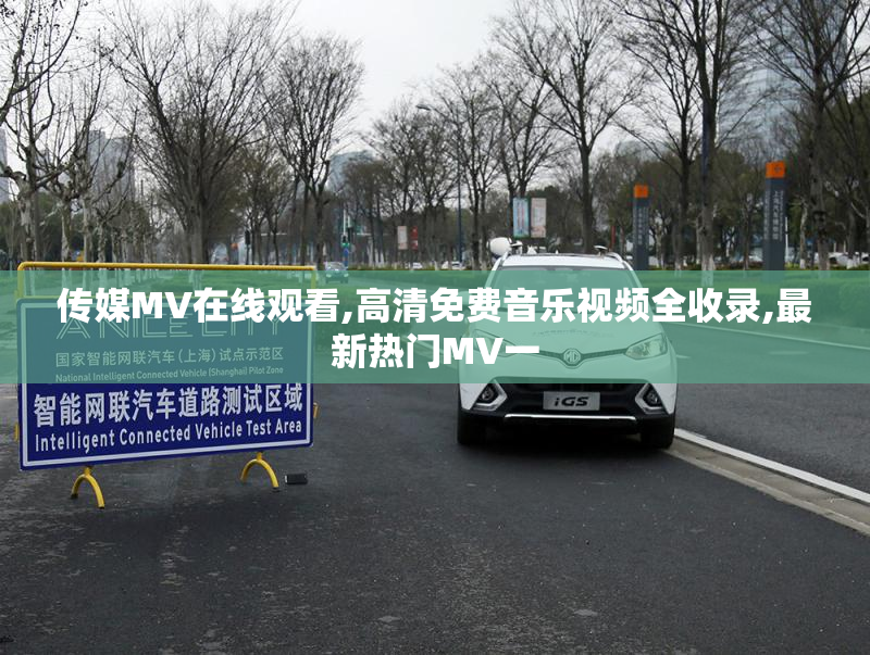 传媒MV在线观看,高清免费音乐视频全收录,最新热门MV一