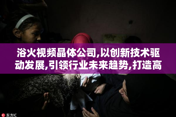 浴火视频晶体公司,以创新技术驱动发展,引领行业未来趋势,打造高