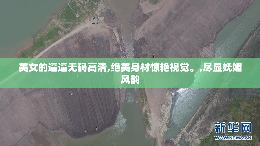 美女的逼逼无码高清,绝美身材惊艳视觉。,尽显妩媚风韵