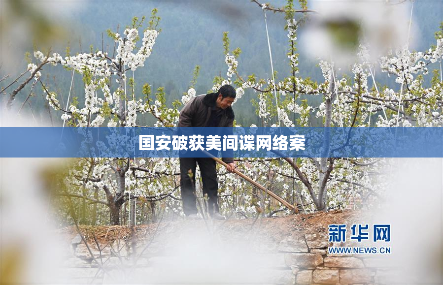 国安破获美间谍网络案