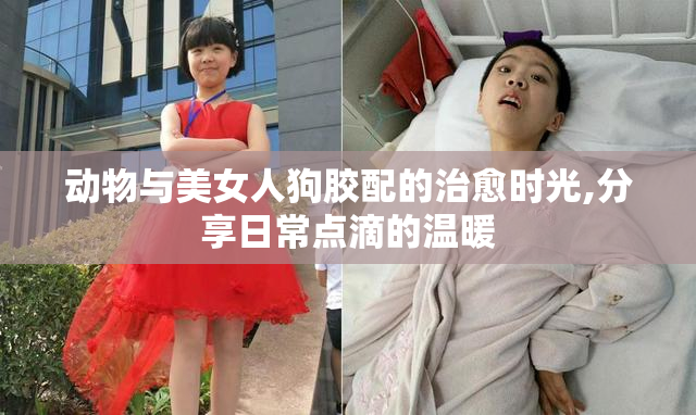 动物与美女人狗胶配的治愈时光,分享日常点滴的温暖
