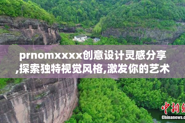 prnomxxxx创意设计灵感分享,探索独特视觉风格,激发你的艺术创作潜能