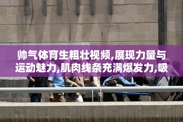 帅气体育生粗壮视频,展现力量与运动魅力,肌肉线条充满爆发力,吸引