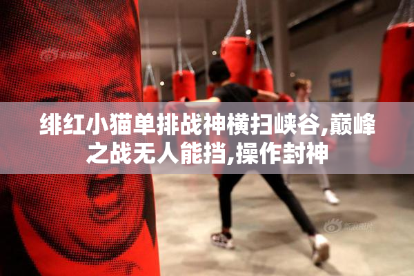 绯红小猫单排战神横扫峡谷,巅峰之战无人能挡,操作封神