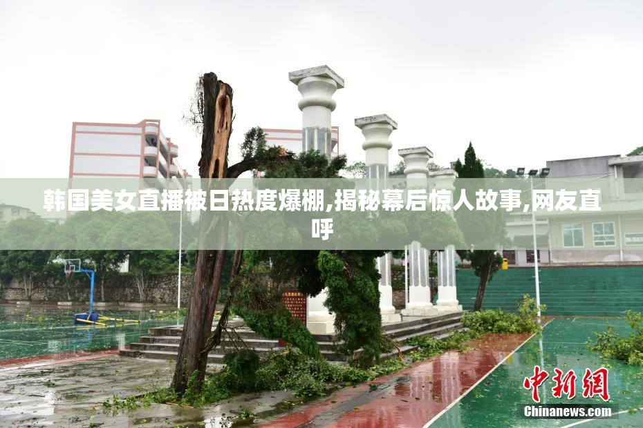 韩国美女直播被日热度爆棚,揭秘幕后惊人故事,网友直呼