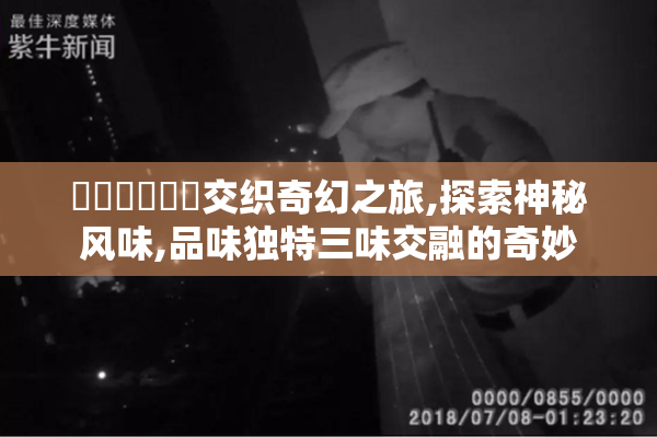 馃尶馃崒馃惢交织奇幻之旅,探索神秘风味,品味独特三味交融的奇妙