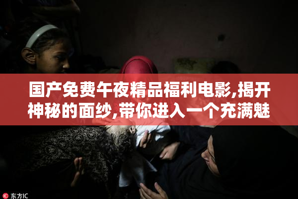 国产免费午夜精品福利电影,揭开神秘的面纱,带你进入一个充满魅惑