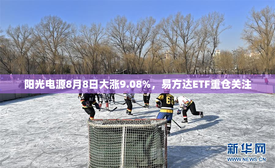 阳光电源8月8日大涨9.08%，易方达ETF重仓关注