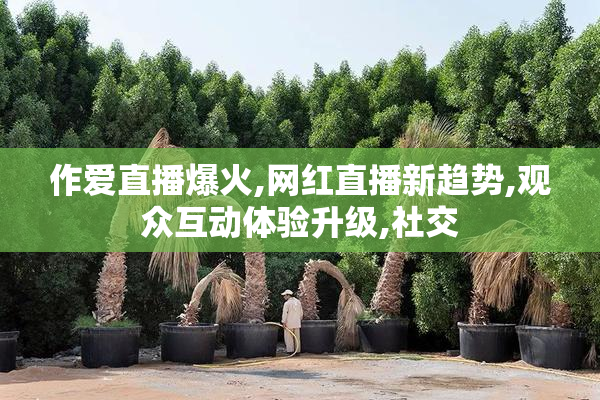 作爱直播爆火,网红直播新趋势,观众互动体验升级,社交