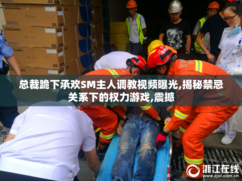 总裁跪下承欢SM主人调教视频曝光,揭秘禁忌关系下的权力游戏,震撼