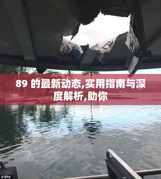 89 的最新动态,实用指南与深度解析,助你