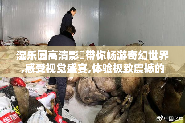 湿乐园高清影視带你畅游奇幻世界,感受视觉盛宴,体验极致震撼的