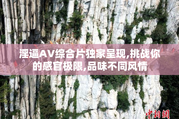 淫逼AV综合片独家呈现,挑战你的感官极限,品味不同风情
