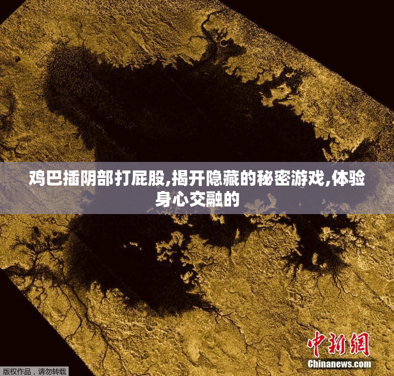 鸡巴插阴部打屁股,揭开隐藏的秘密游戏,体验身心交融的