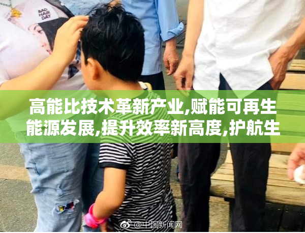 高能比技术革新产业,赋能可再生能源发展,提升效率新高度,护航生态