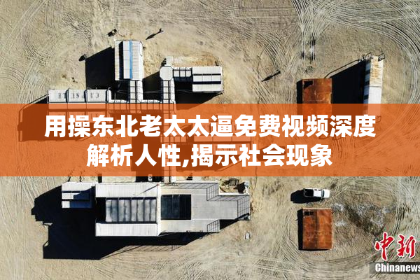 用操东北老太太逼免费视频深度解析人性,揭示社会现象