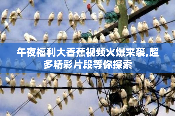 午夜福利大香蕉视频火爆来袭,超多精彩片段等你探索