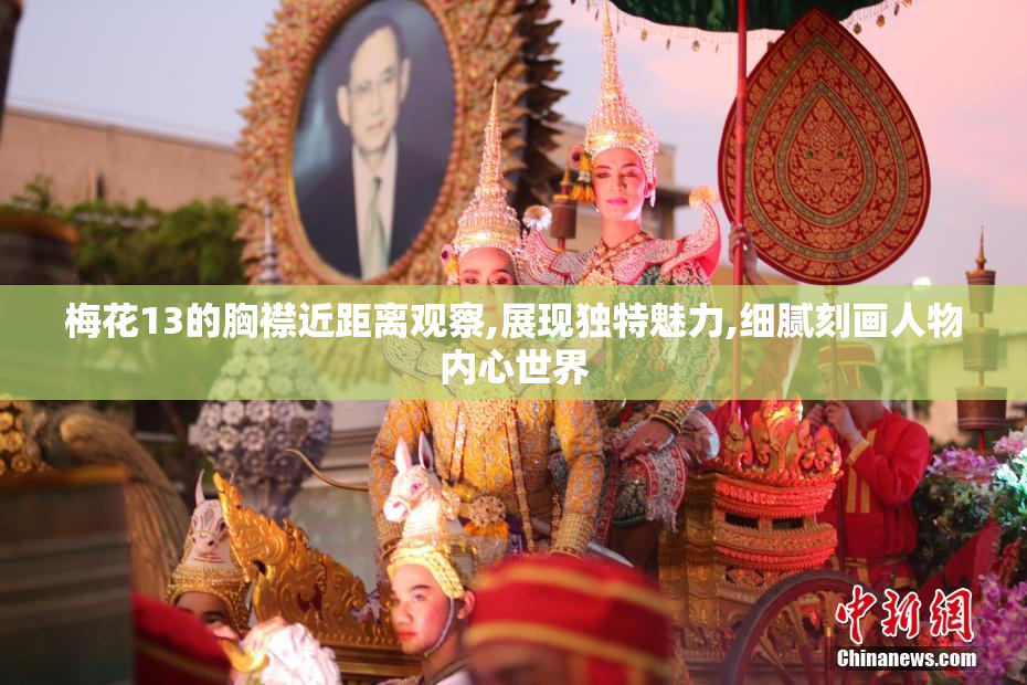 梅花13的胸襟近距离观察,展现独特魅力,细腻刻画人物内心世界