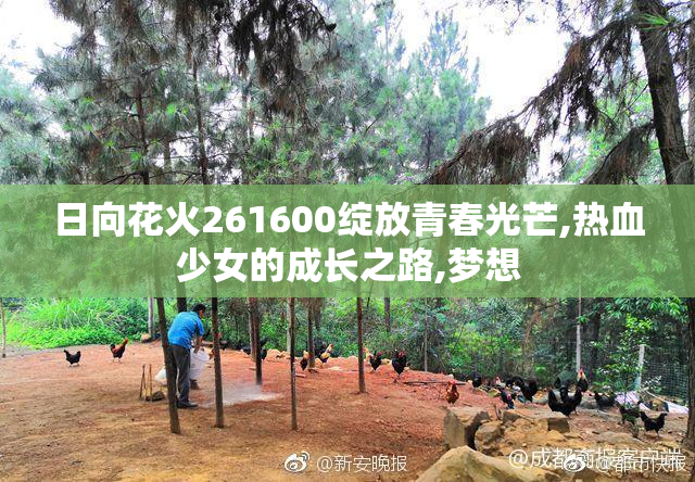 日向花火261600绽放青春光芒,热血少女的成长之路,梦想