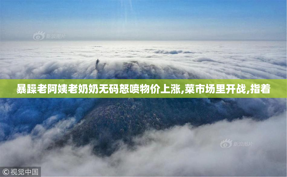 暴躁老阿姨老奶奶无码怒喷物价上涨,菜市场里开战,指着