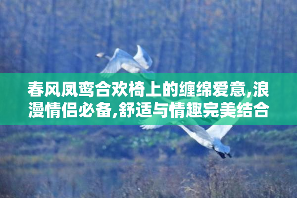 春风凤鸾合欢椅上的缠绵爱意,浪漫情侣必备,舒适与情趣完美结合