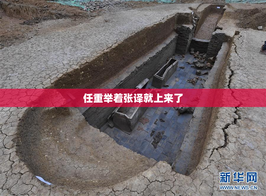 任重举着张译就上来了