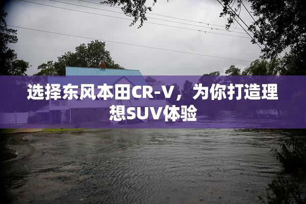 选择东风本田CR-V，为你打造理想SUV体验