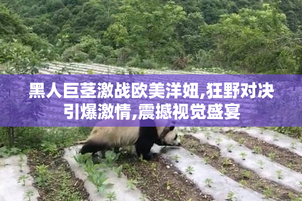黑人巨茎激战欧美洋妞,狂野对决引爆激情,震撼视觉盛宴