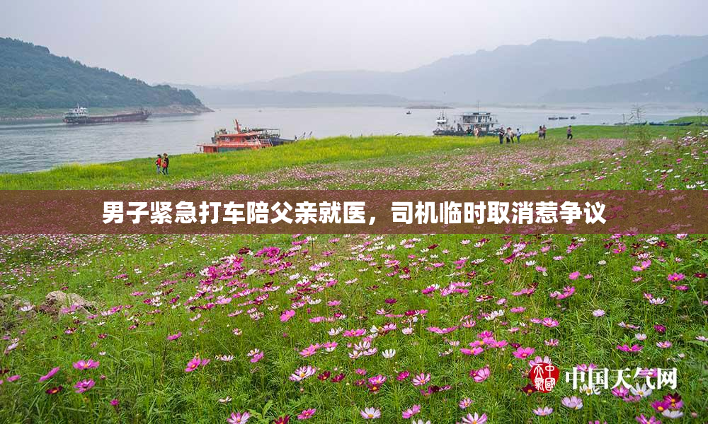 男子紧急打车陪父亲就医，司机临时取消惹争议