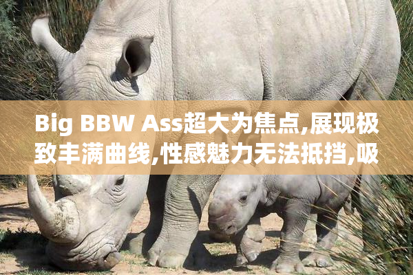 Big BBW Ass超大为焦点,展现极致丰满曲线,性感魅力无法抵挡,吸引
