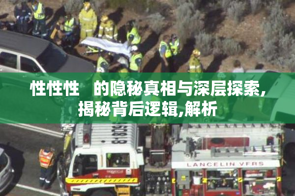 性性性   的隐秘真相与深层探索,揭秘背后逻辑,解析