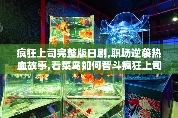 疯狂上司完整版日剧,职场逆袭热血故事,看菜鸟如何智斗疯狂上司