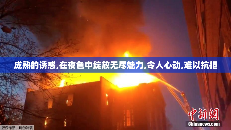 成熟的诱惑,在夜色中绽放无尽魅力,令人心动,难以抗拒