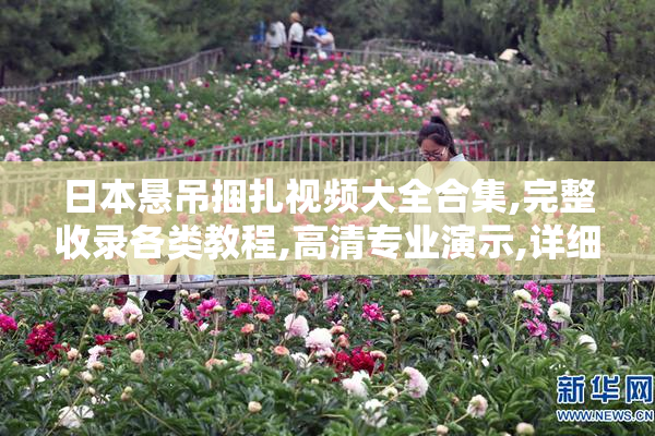 日本悬吊捆扎视频大全合集,完整收录各类教程,高清专业演示,详细