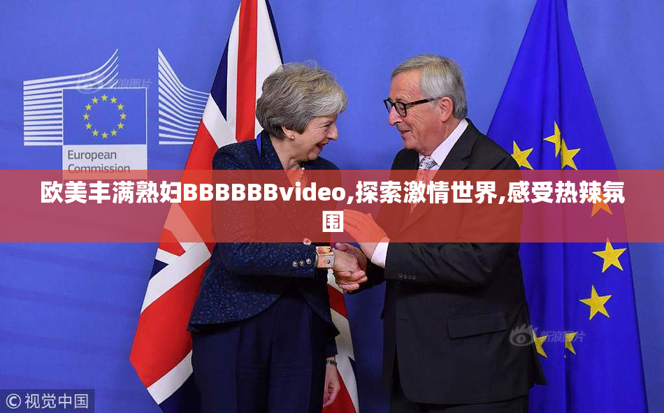 欧美丰满熟妇BBBBBBvideo,探索激情世界,感受热辣氛围