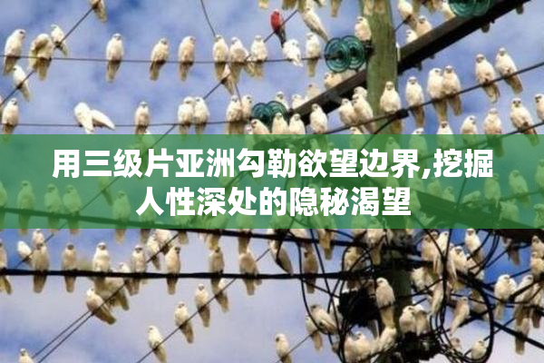 用三级片亚洲勾勒欲望边界,挖掘人性深处的隐秘渴望
