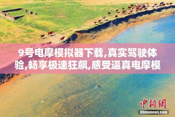 9号电摩模拟器下载,真实驾驶体验,畅享极速狂飙,感受逼真电摩模拟