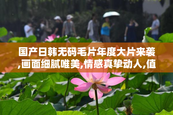 国产日韩无码毛片年度大片来袭,画面细腻唯美,情感真挚动人,值得