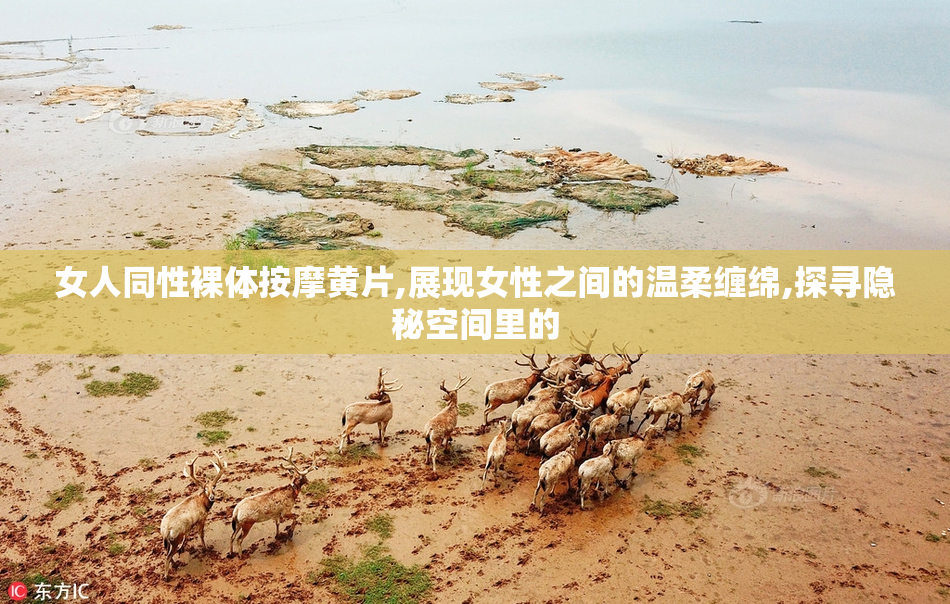 女人同性裸体按摩黄片,展现女性之间的温柔缠绵,探寻隐秘空间里的