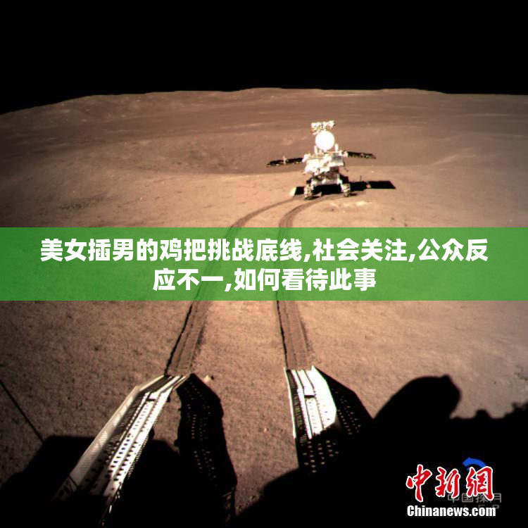 美女插男的鸡把挑战底线,社会关注,公众反应不一,如何看待此事