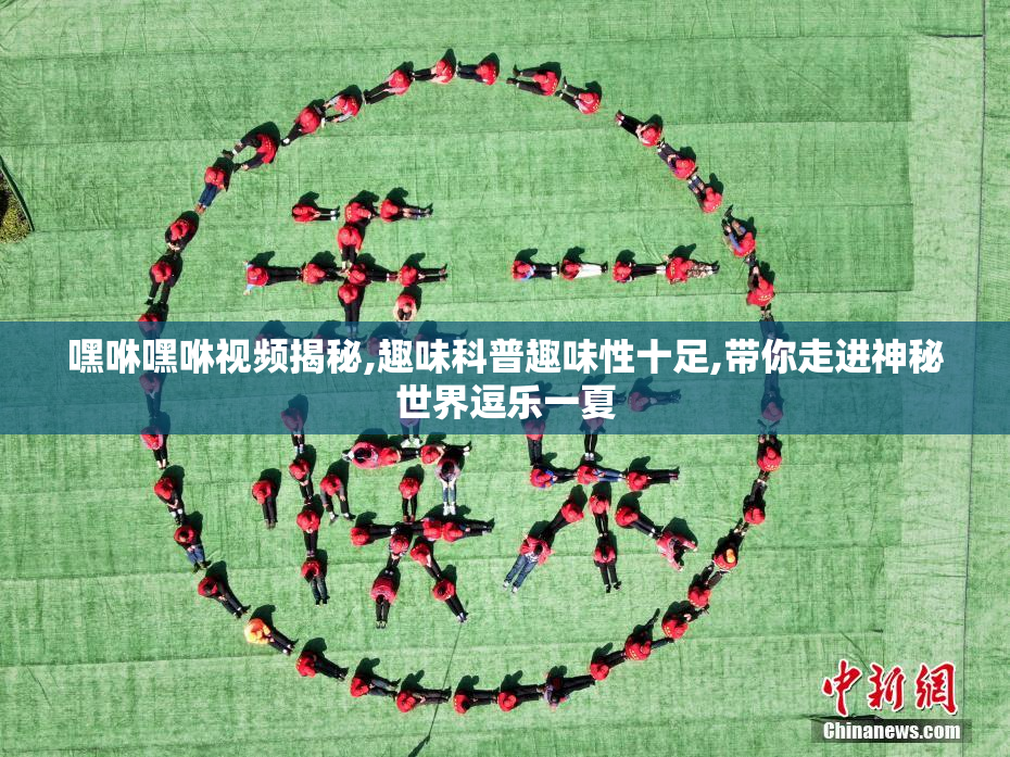 嘿咻嘿咻视频揭秘,趣味科普趣味性十足,带你走进神秘世界逗乐一夏