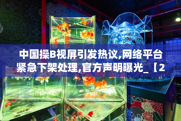 中国操B视屏引发热议,网络平台紧急下架处理,官方声明曝光_【2025