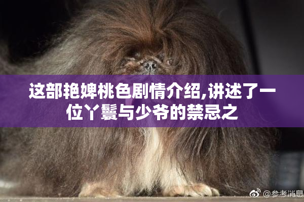 这部艳婢桃色剧情介绍,讲述了一位丫鬟与少爷的禁忌之