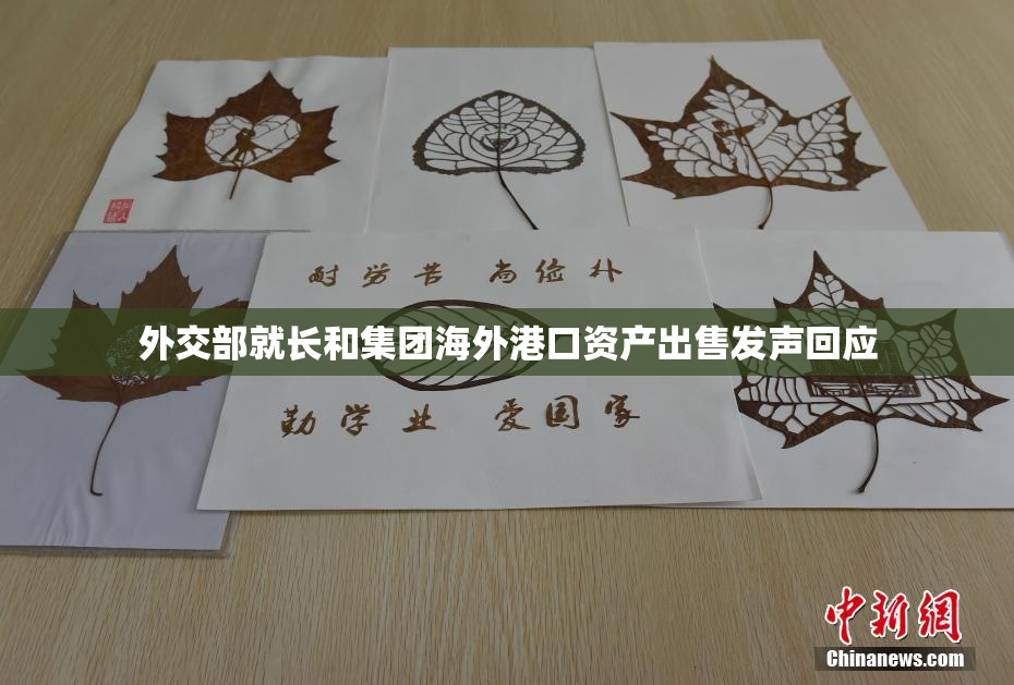外交部就长和集团海外港口资产出售发声回应